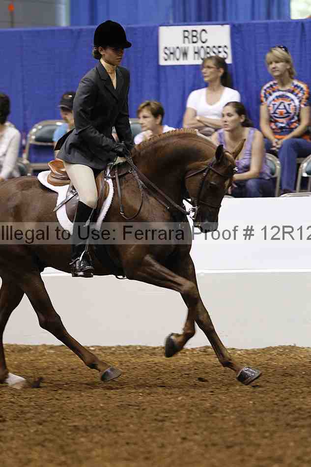 Proof Number 12r12_4011