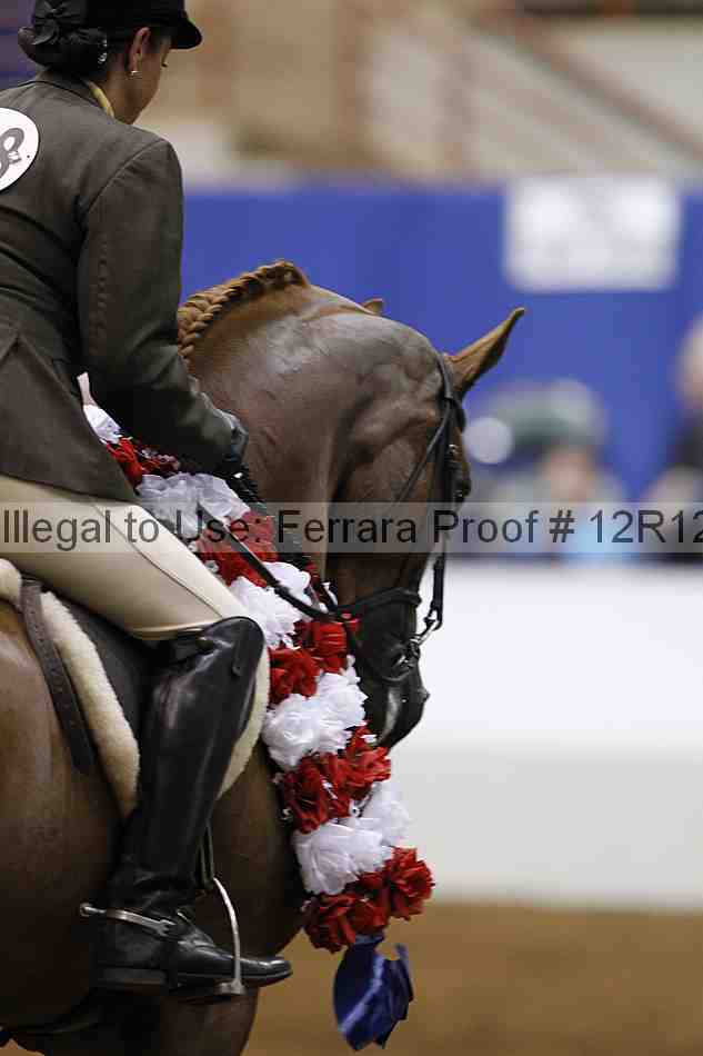 Proof Number 12r12_4020