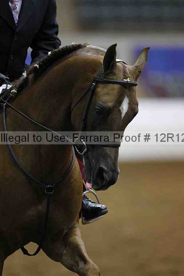 Proof Number 12r12_4028