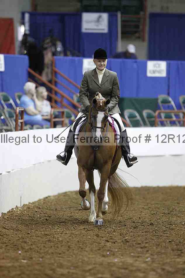 Proof Number 12r12_4029