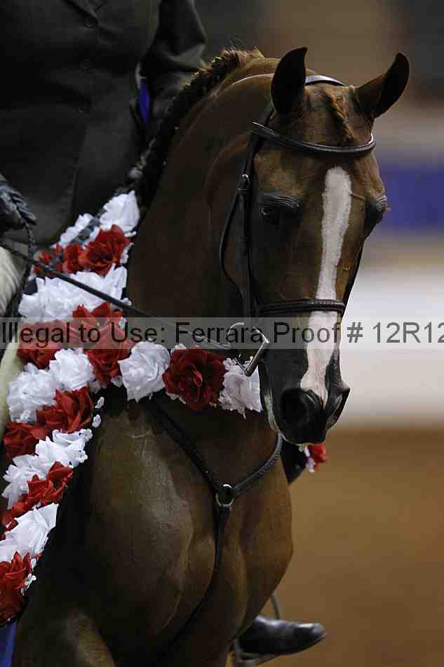 Proof Number 12r12_4041