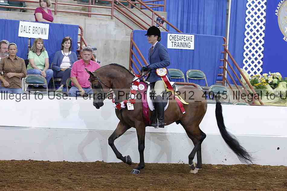 Proof Number 12r12_4045