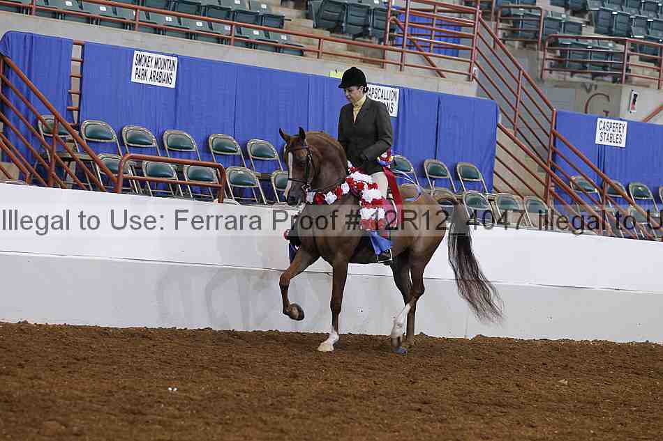 Proof Number 12r12_4047