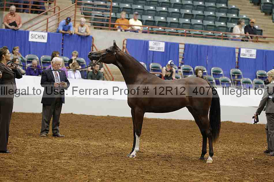 Proof Number 12r12_4076