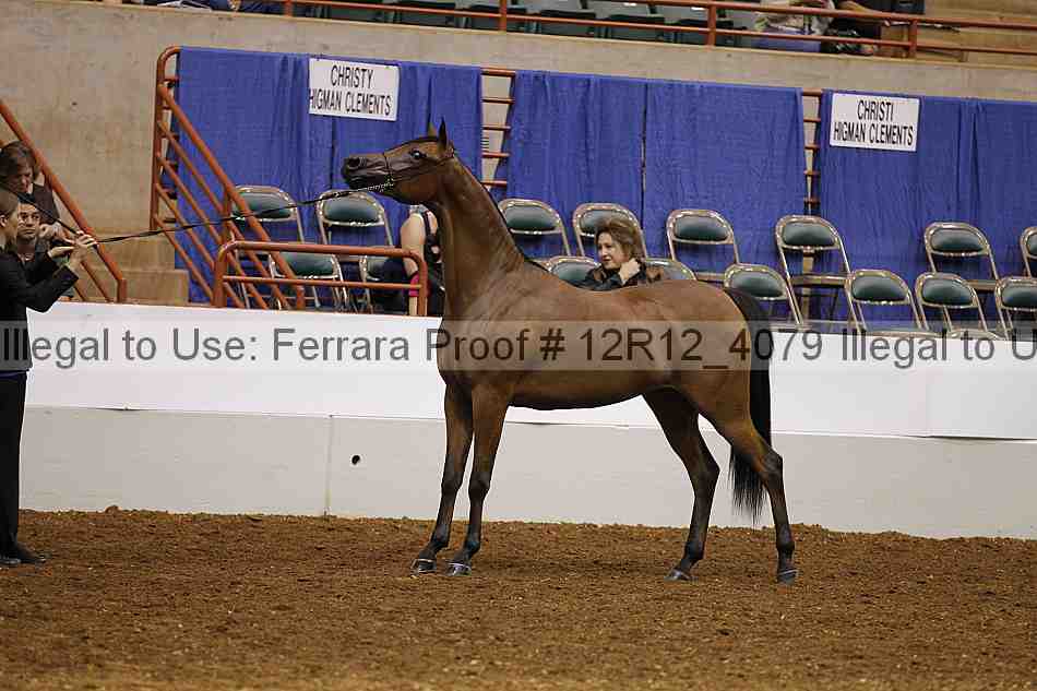 Proof Number 12r12_4079