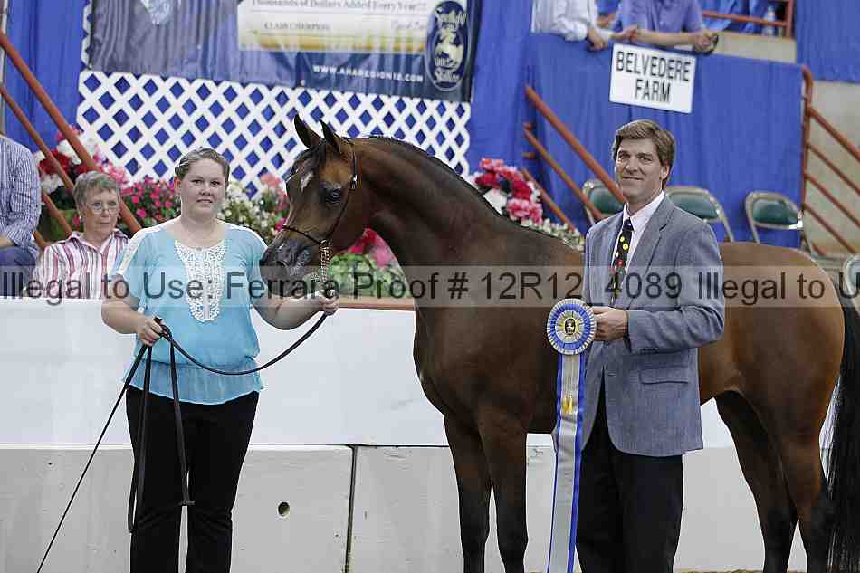 Proof Number 12r12_4089