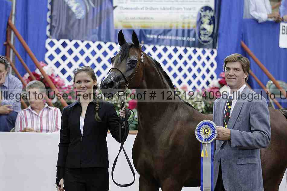 Proof Number 12r12_4096