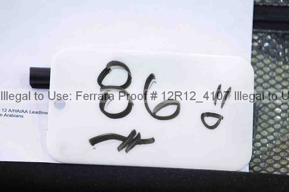 Proof Number 12r12_4107