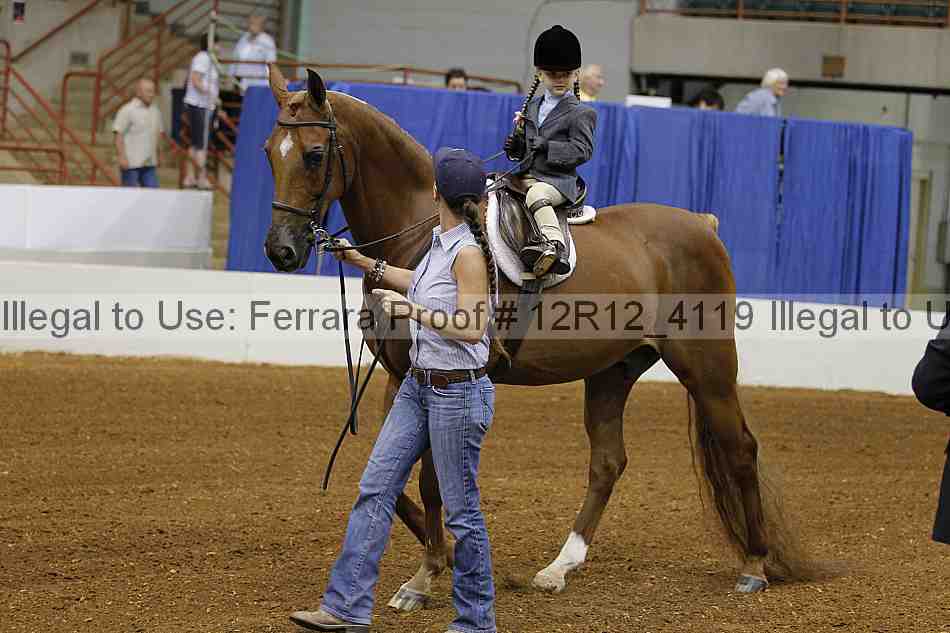 Proof Number 12r12_4119