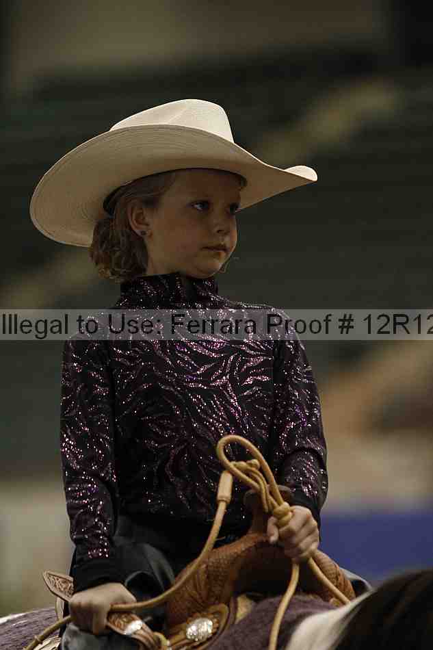 Proof Number 12r12_4160