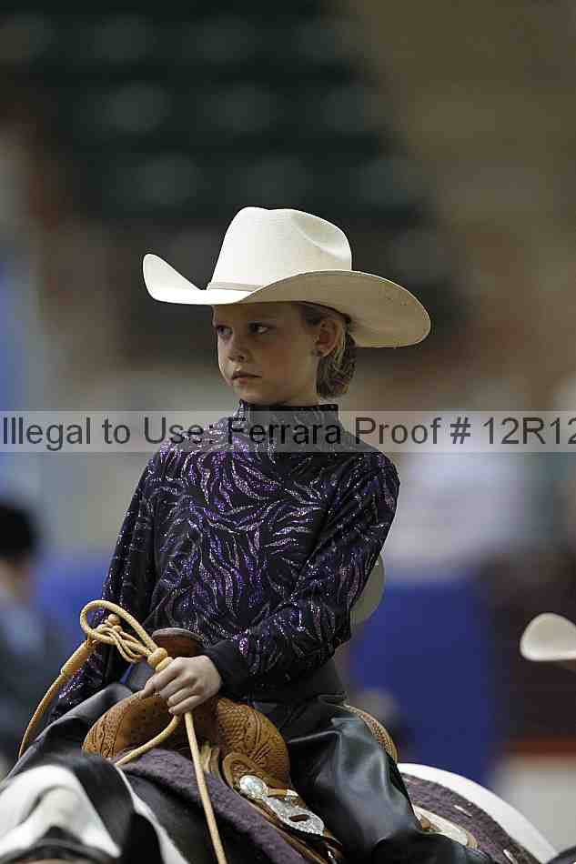 Proof Number 12r12_4178