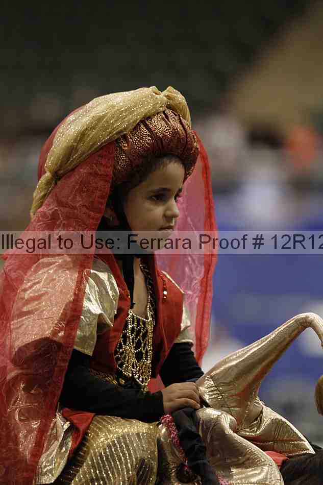 Proof Number 12r12_4179