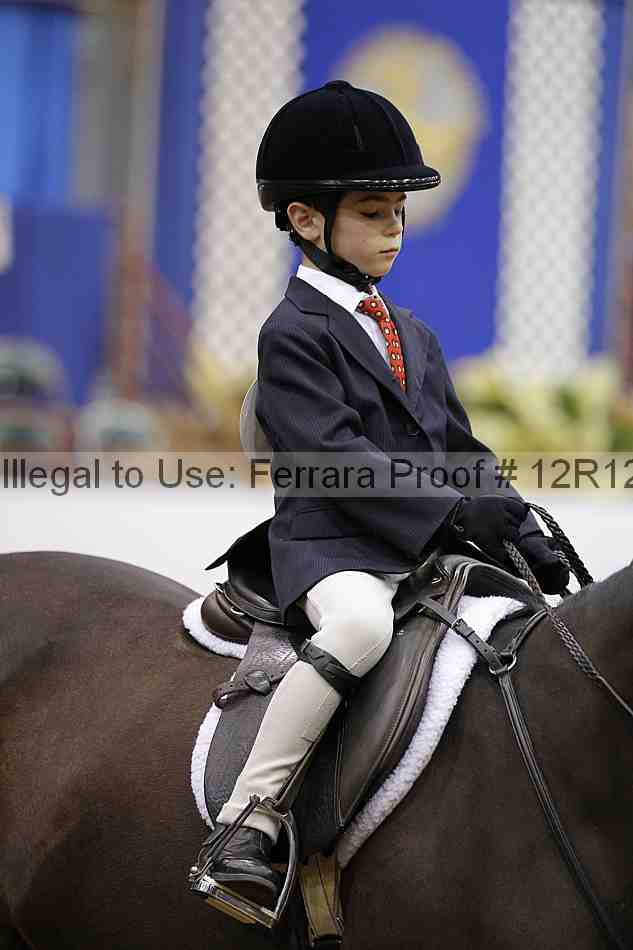 Proof Number 12r12_4196