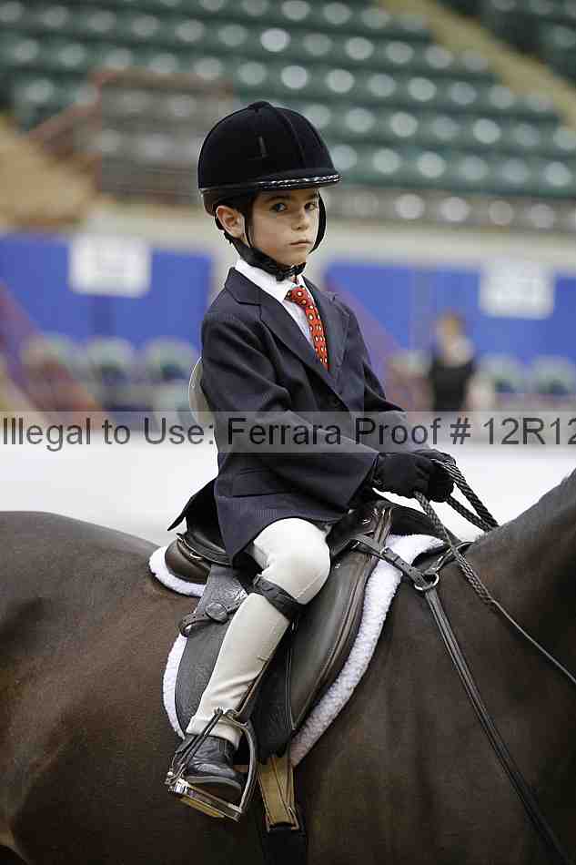 Proof Number 12r12_4197