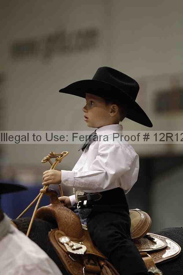 Proof Number 12r12_4218