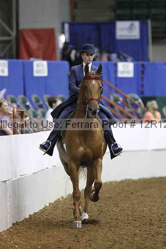 Proof Number 12r12_4402