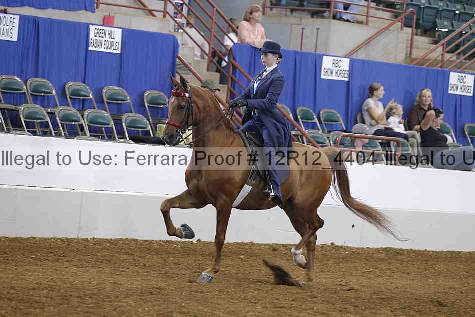 Proof Number 12r12_4404