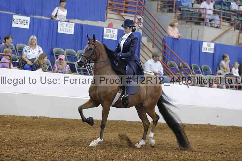 Proof Number 12r12_4408