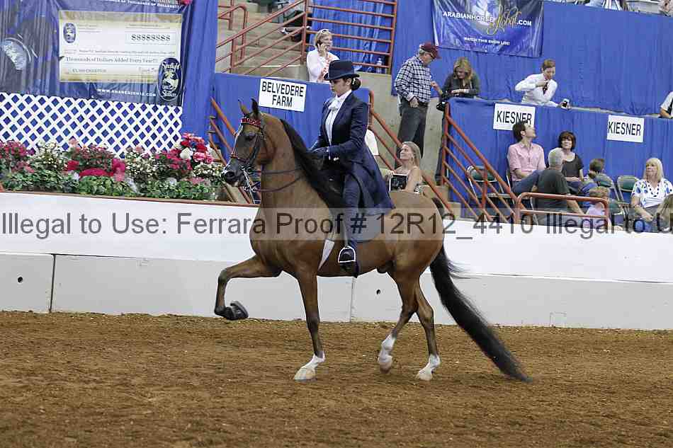 Proof Number 12r12_4410