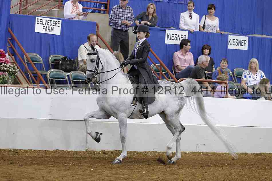 Proof Number 12r12_4414