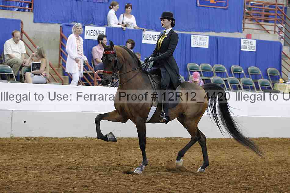 Proof Number 12r12_4420