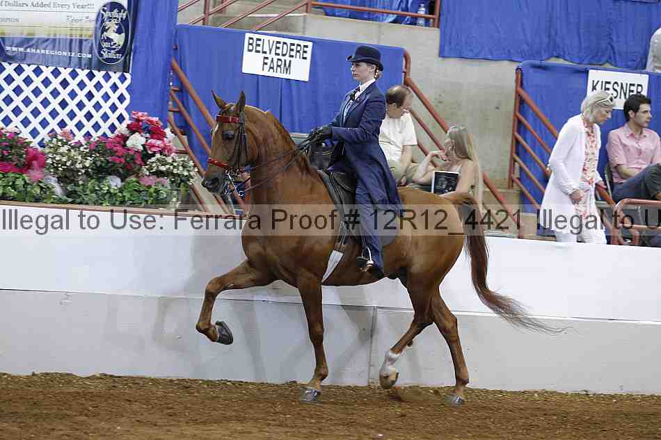 Proof Number 12r12_4421