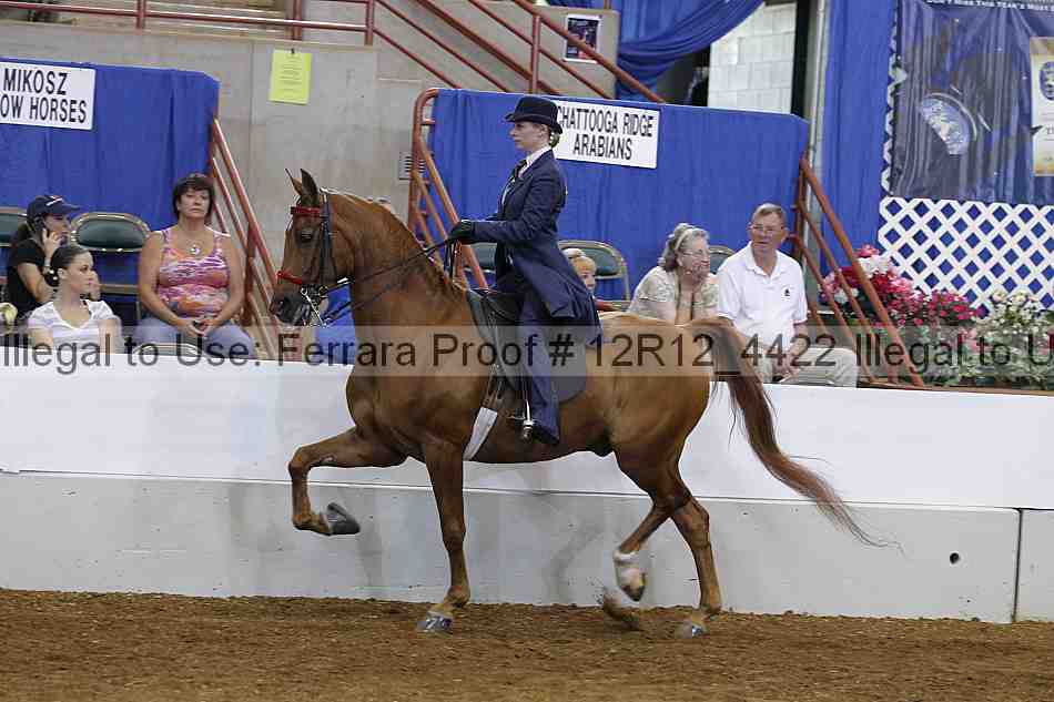 Proof Number 12r12_4422