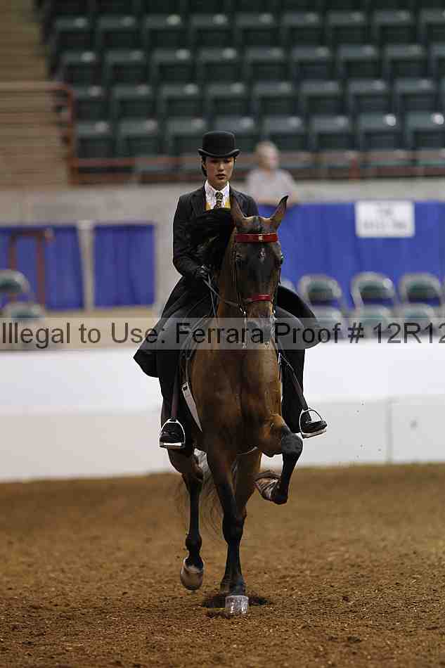 Proof Number 12r12_4424
