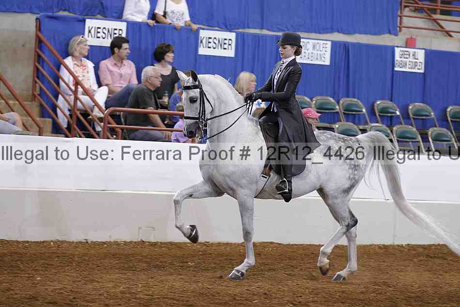 Proof Number 12r12_4426
