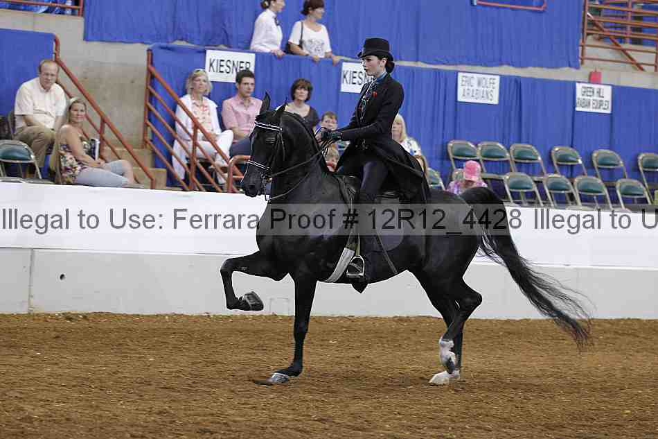 Proof Number 12r12_4428