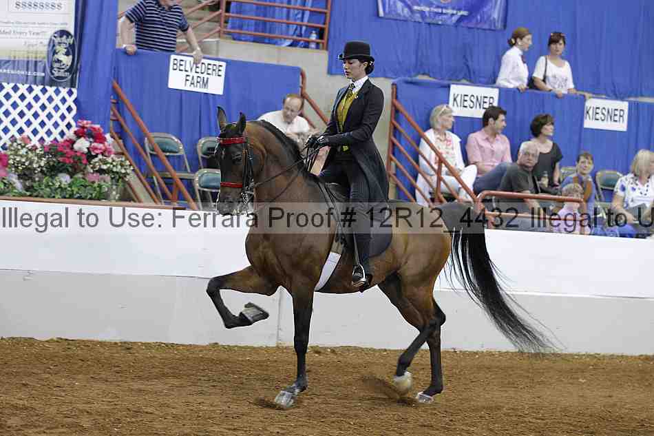 Proof Number 12r12_4432