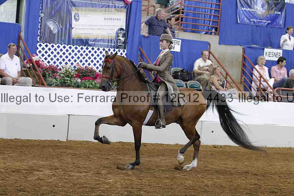 Proof Number 12r12_4433