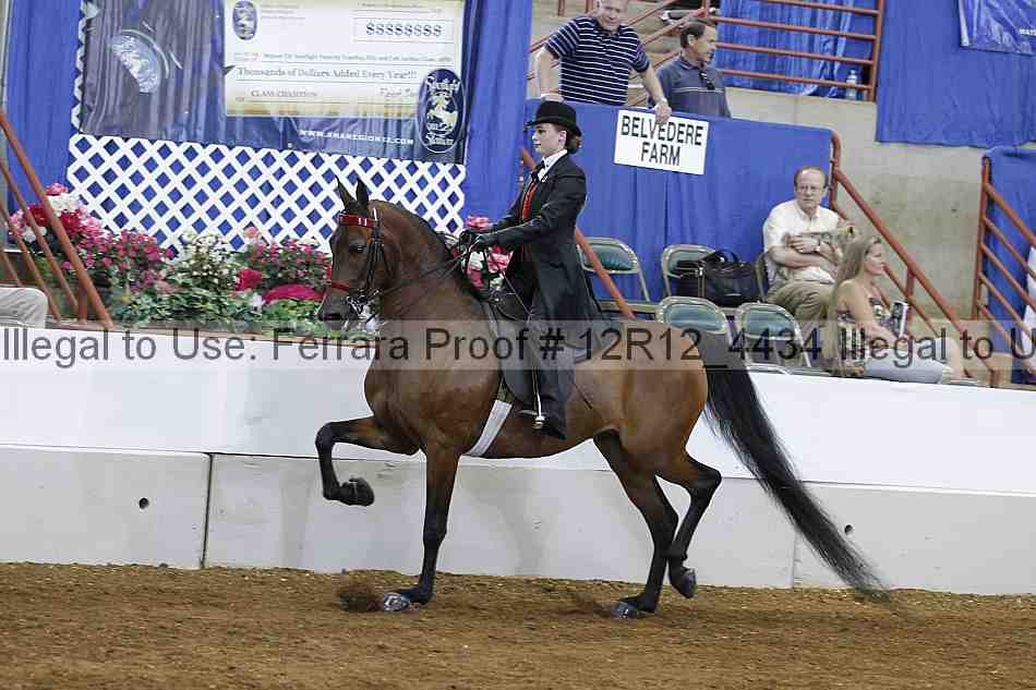 Proof Number 12r12_4434