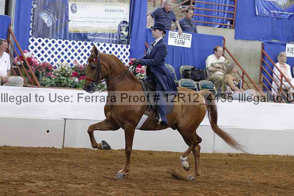 Proof Number 12r12_4435