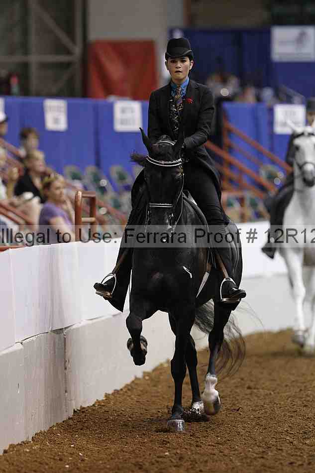 Proof Number 12r12_4436