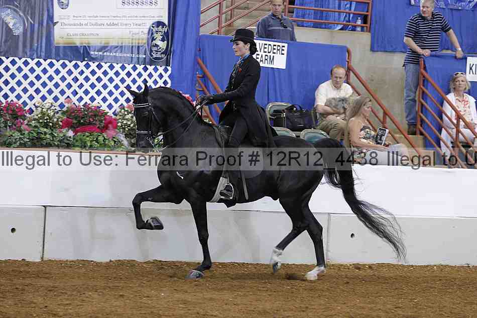 Proof Number 12r12_4438