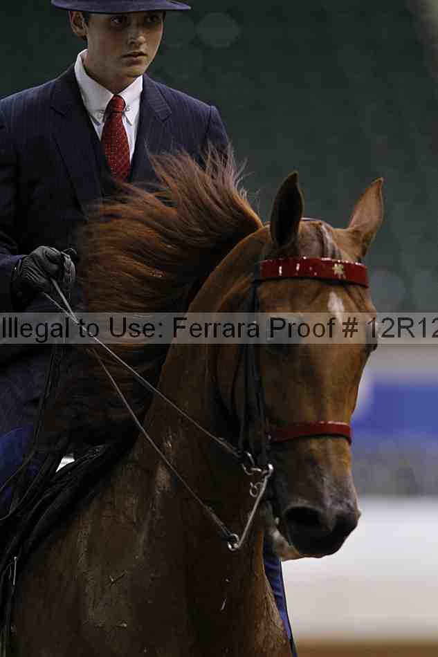 Proof Number 12r12_4439
