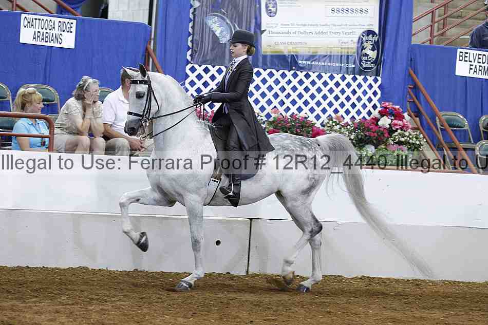 Proof Number 12r12_4440
