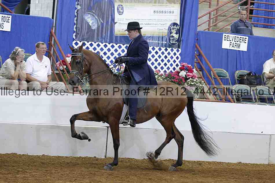 Proof Number 12r12_4442