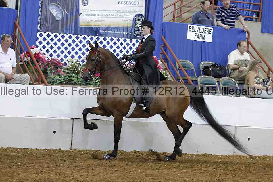 Proof Number 12r12_4445