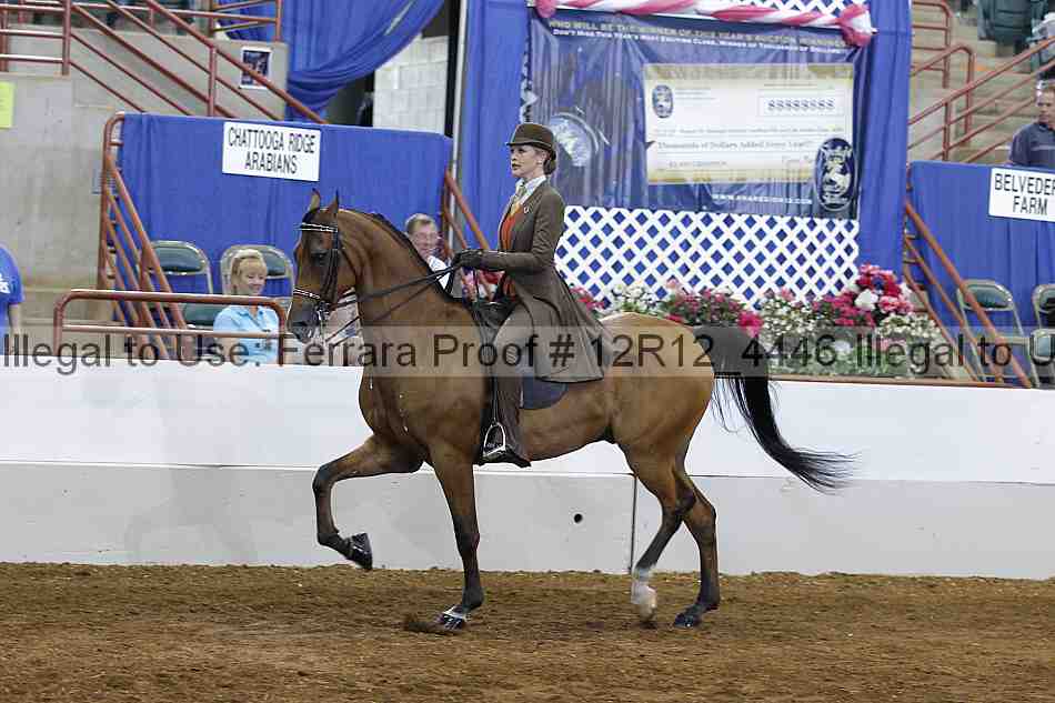 Proof Number 12r12_4446