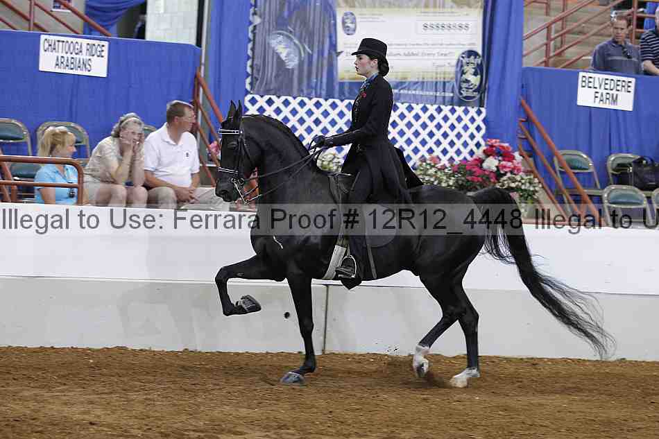 Proof Number 12r12_4448