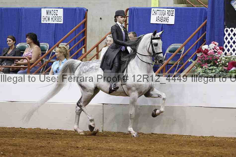 Proof Number 12r12_4449