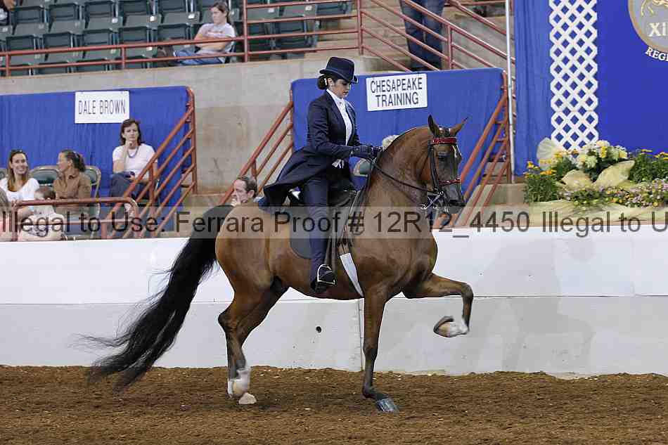 Proof Number 12r12_4450