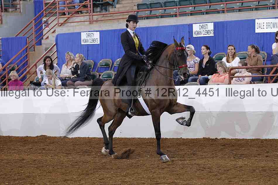 Proof Number 12r12_4451