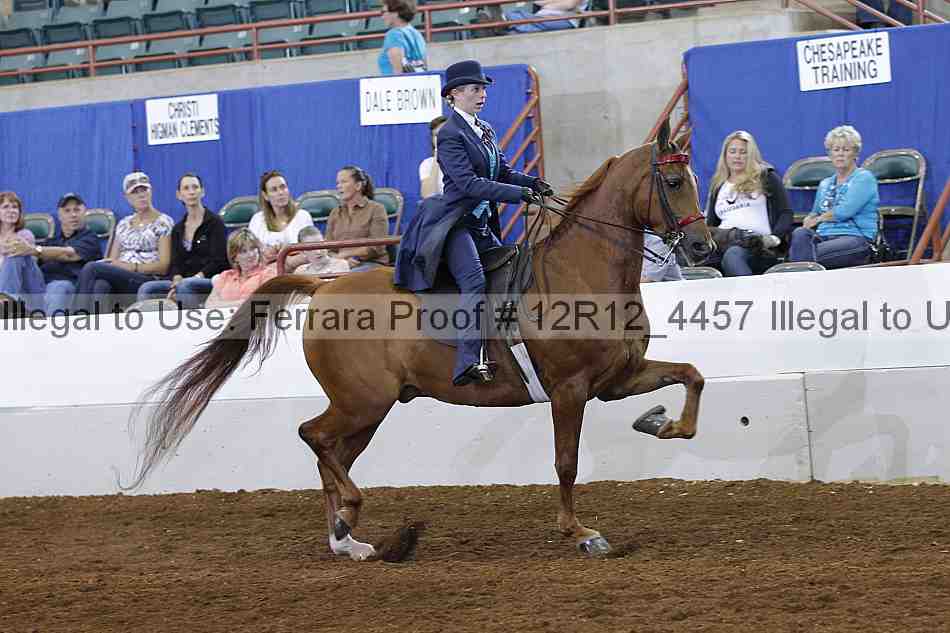 Proof Number 12r12_4457