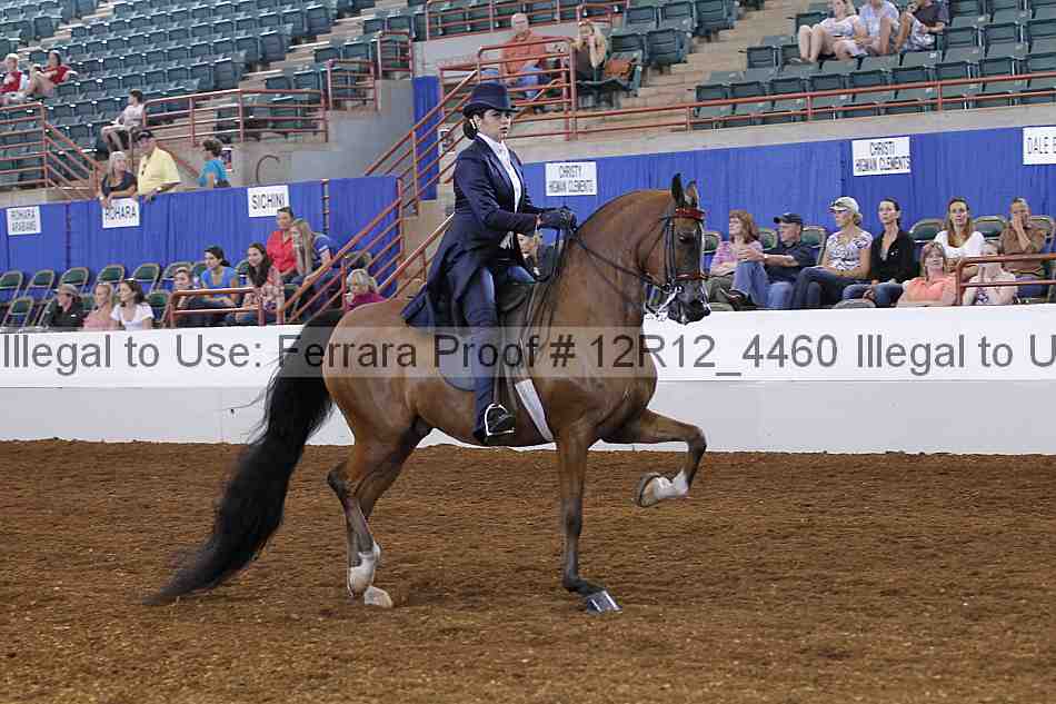 Proof Number 12r12_4460