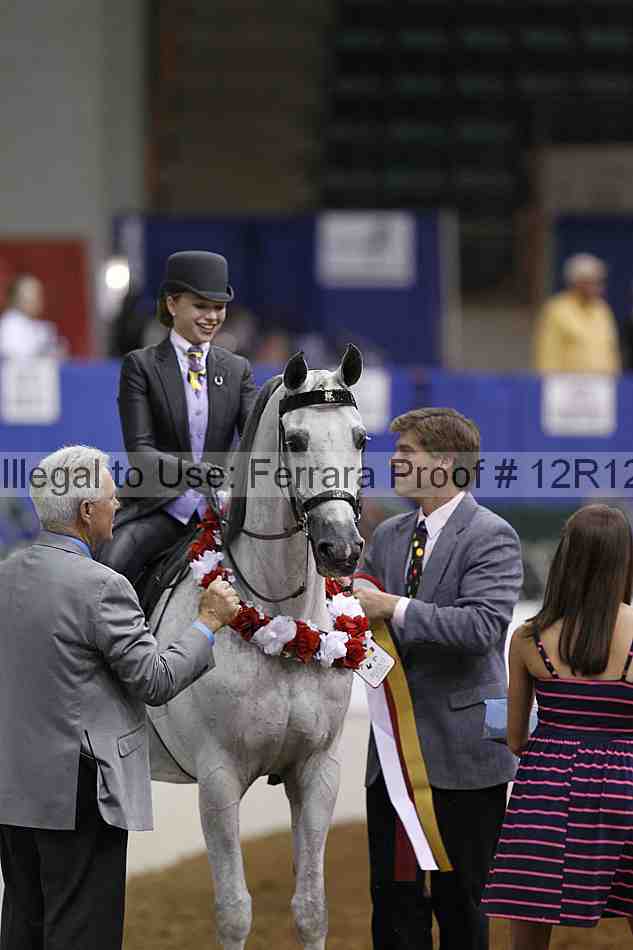 Proof Number 12r12_4464