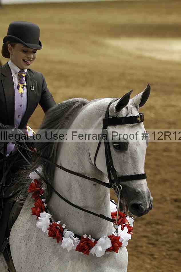 Proof Number 12r12_4467