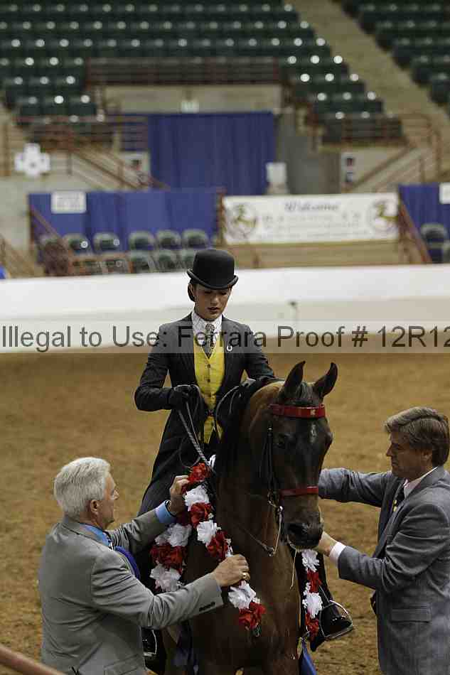 Proof Number 12r12_4472
